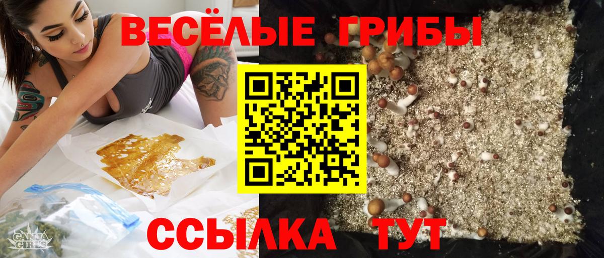 Псилоцибиновые грибы ЛСД Сунжа