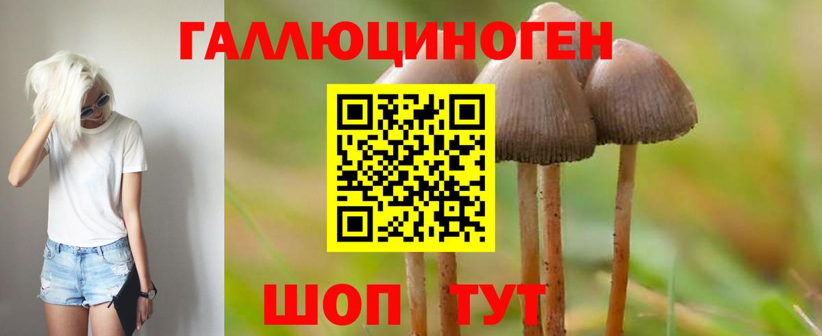 Псилоцибиновые грибы Cubensis  купить наркотики цена  Сунжа  Вход с VPN 